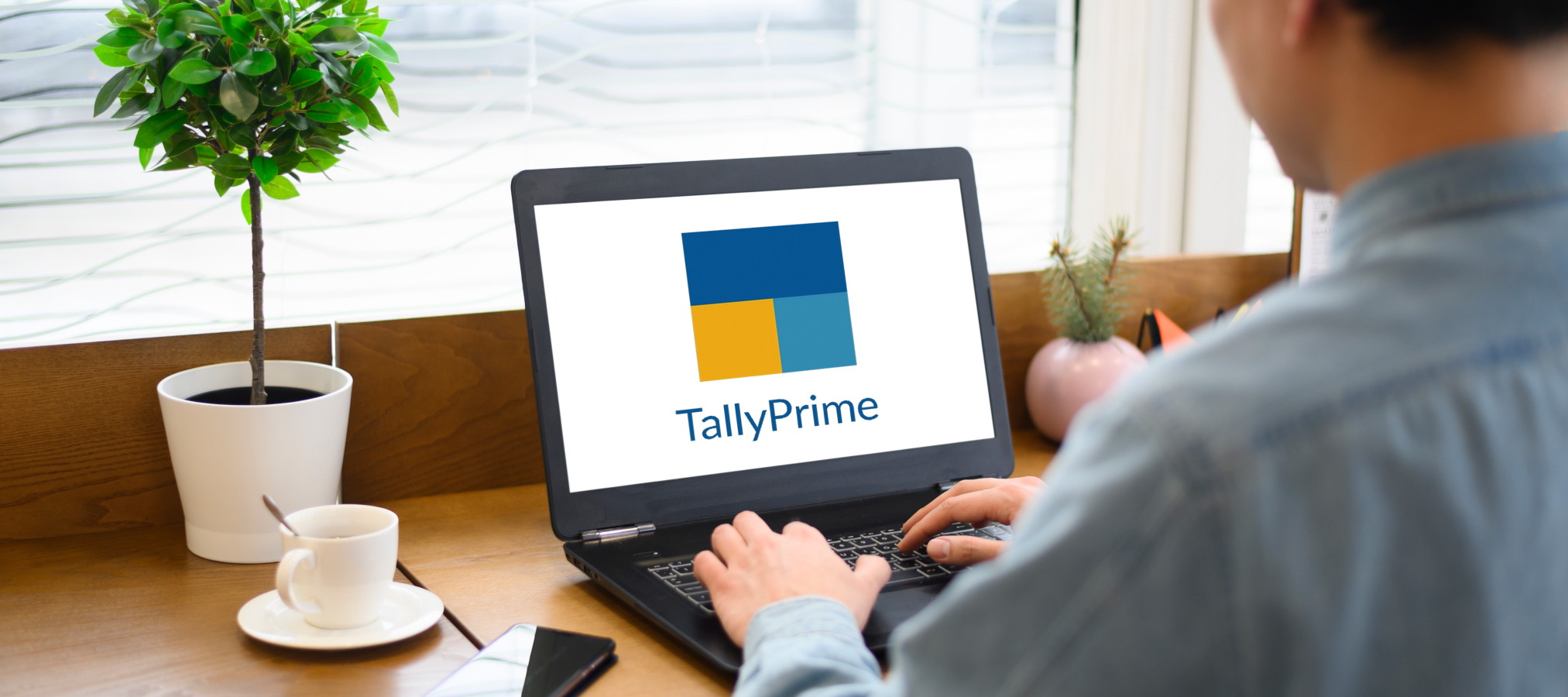 Future of Tally Prime Customization