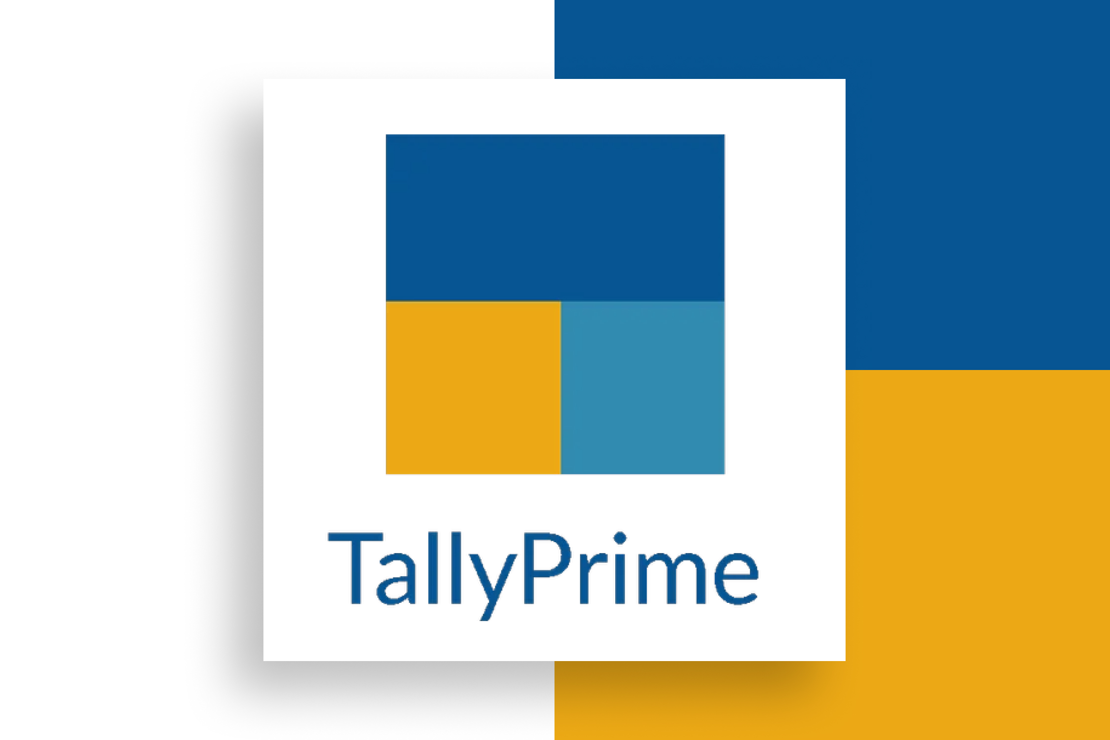 Tally Prime Software