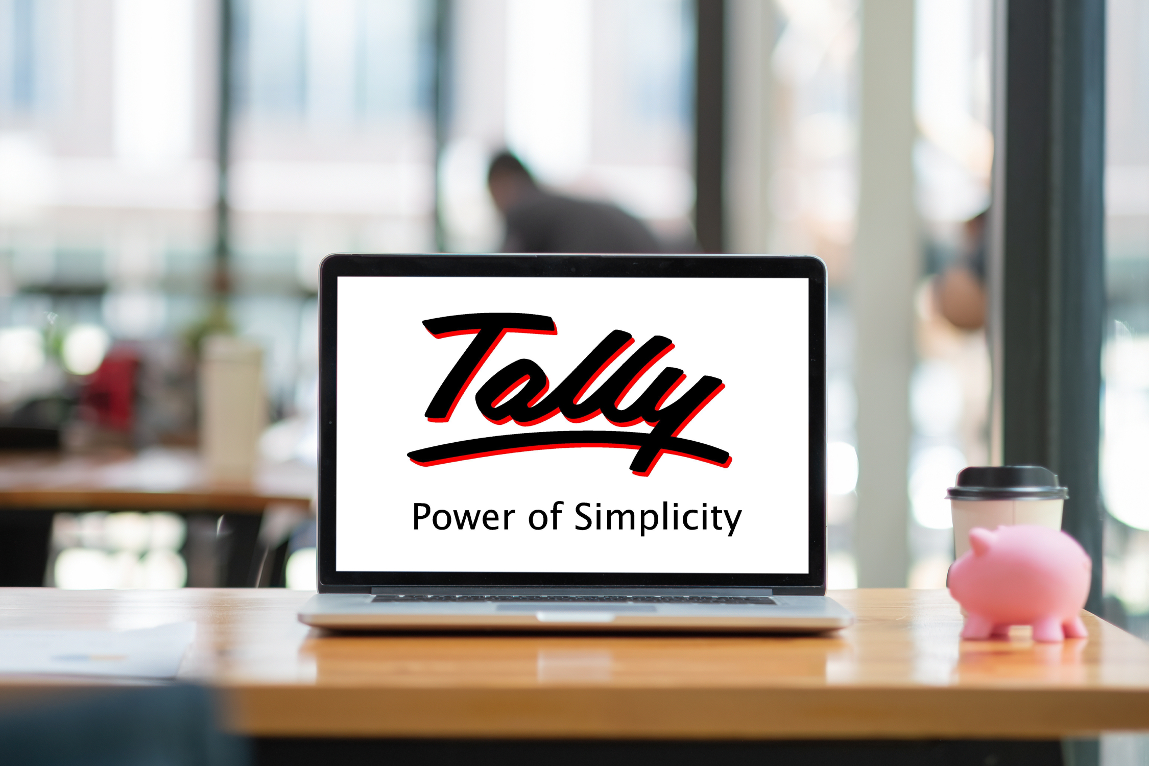 Tally Software Services