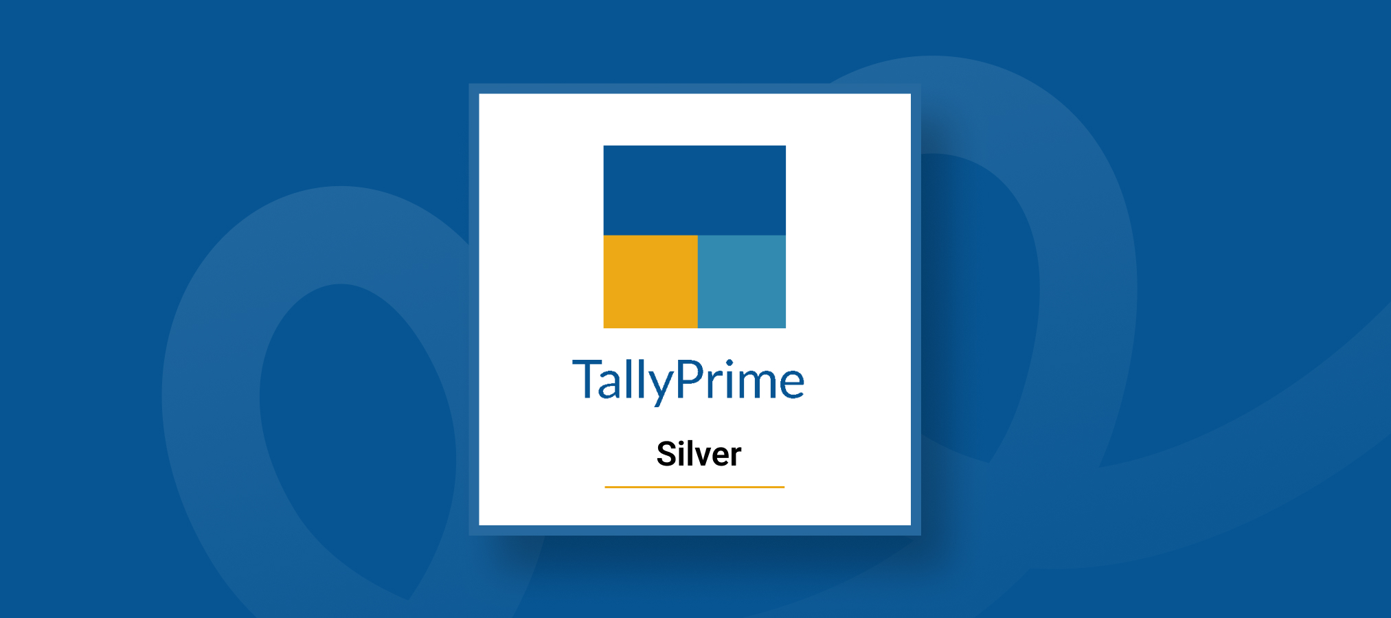 Top Features of Tally Silver Edition