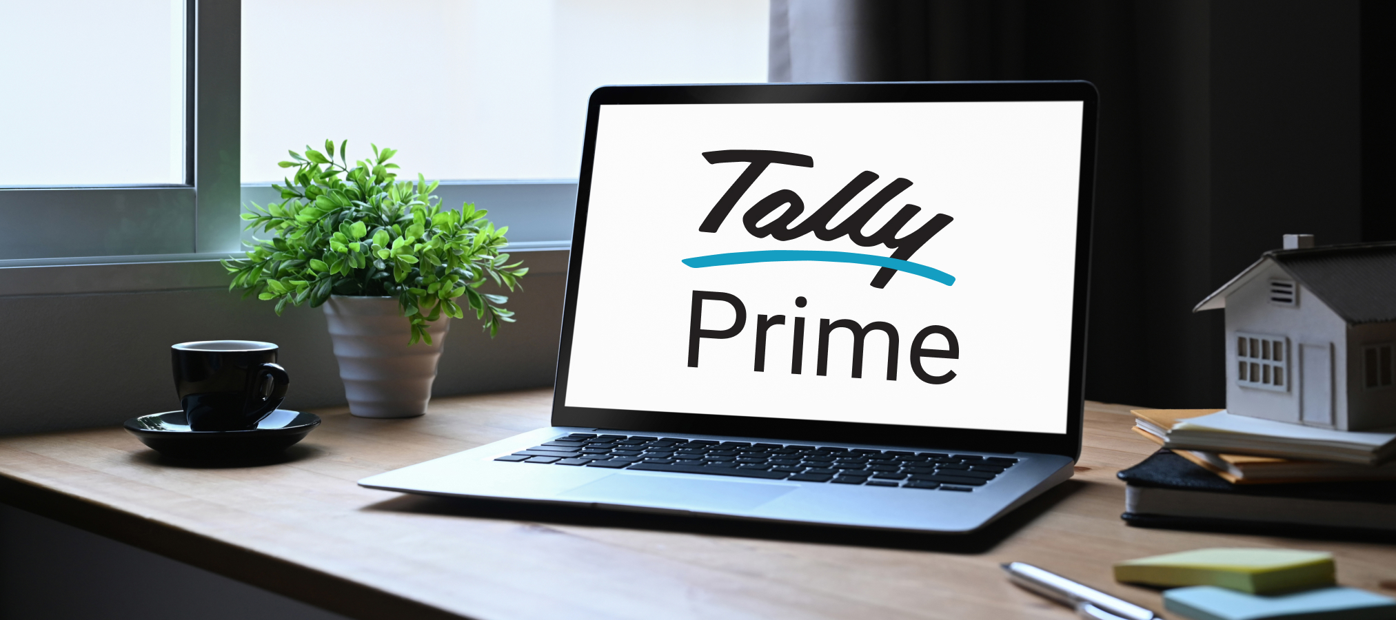 Tally Prime Accounting Software